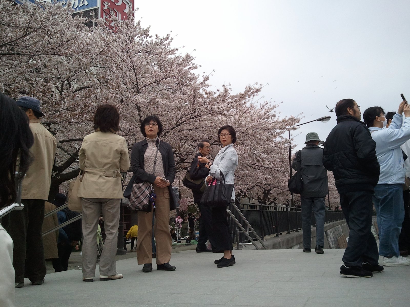 A slow walk in Minamisenju
